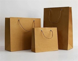 US may investigate paper bags from Viet Nam
