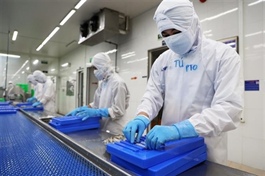 Post-pandemic business support policies should focus on efficiency: experts