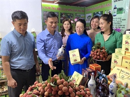 Over 100 safe agricultural products presented to consumers in Hanoi