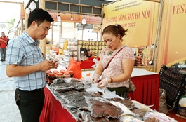 Second Hanoi Agricultural Products Festival in 2023 to match producers nationwide