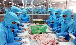 Seafood exporters to see improved profits in H2