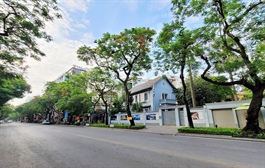 Ly Thuong Kiet Street renovation: Promoting and conserving architectural values