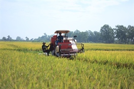 Vietnam to boost rice exports amid new global developments
