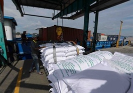 Opportunities for Việt Nam to boost rice exports: official