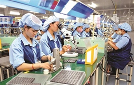 Over 200 foreign enterprises seek investment opportunities in Vietnam