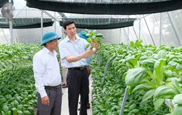 Hanoi promotes safe agriculture