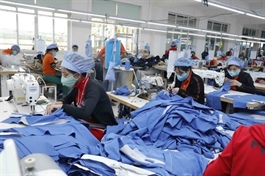 Plunge in Việt Nam’s exports bottoms out
