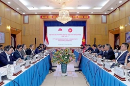 Vietnam, Singapore strengthen economic ties on 5 key priorities