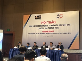 Forward-looking policies needed to support Vietnamese private firms