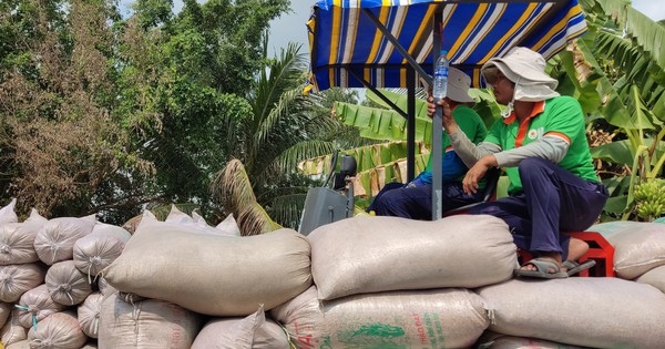Philippines áp trần giá gạo, nhà nhập khẩu đòi hủy đơn hàng, gạo Việt Nam sẽ ra sao? - Ảnh 2.