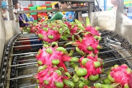 Việt Nam yet to receive any UK warning on dragon fruit: official