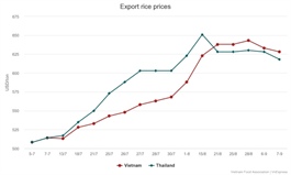 Vietnam's rice export prices drop