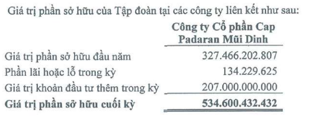 FIT thoái vốn, doanh nhân Thang Văn Lương ngồi ghế nóng dự án tỷ đô Cap Padaran Mũi Dinh
