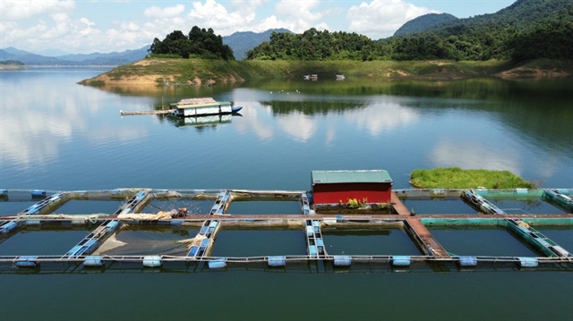 Hồ Cửa Đạt không chỉ có những cảnh núi non hùng vĩ bao quanh, mặt hồ nơi đây với làn nước trong vắt đang trở thành điểm tham quan thu hút khách du lịch, còn được gắn với nghề nuôi cá diêu hồng và cá lăng.