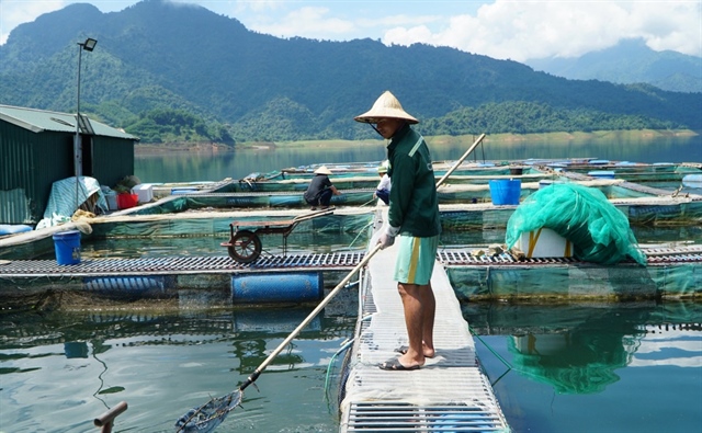 Những người nuôi cá lồng ở đây rất vất vả vì ở dưới lòng hồ nhiều hơn ở trên bờ. Khi trời nắng thì nóng nực do mặt hồ bốc hơi nước, nhưng mỗi khi mùa mưa lũ về đều cảm thấy lo lắng khi sóng trong lòng hồ lớn khiến cả chòi, bè lắc lư dập dềnh theo sóng.