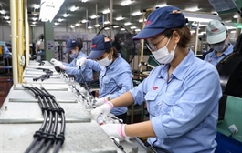 Việt Nam's economic growth to slow to 4.7% this year: World Bank