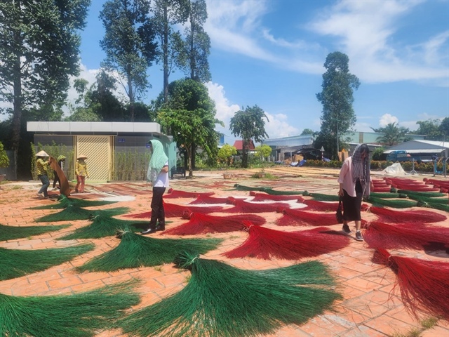 Làng nghề dệt chiếu truyền thống tại làng chiếu Định Yên, huyện Lấp Vò, tỉnh Đồng Tháp.