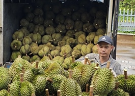 ​Vietnam eyes $6bn in veggie, fruit exports this year