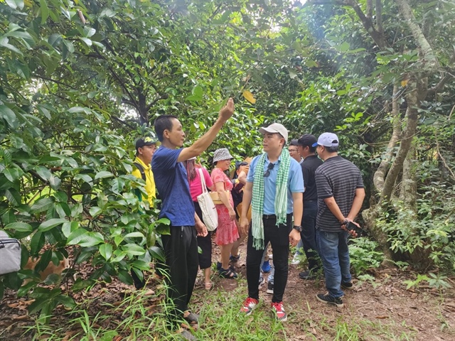 Đoàn đến cồn Phong Nẫm (huyện Kế Sách) khảo sát các vườn trái cây sinh thái kết hợp du lịch.