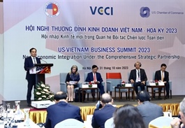 VN-US comprehensive strategic partnership to unlock bilateral cooperation potential