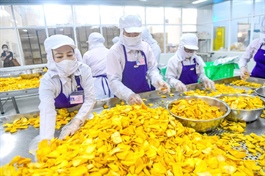​Vietnam’s January-October trade plunge raises concern despite record trade surplus
