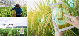 Digital solutions key to sustainable agriculture