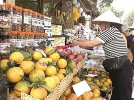 Hà Nội Fruit Festival opens