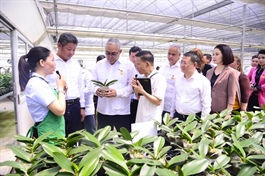Amended Capital Law to boost urban ecological agriculture development in Hanoi