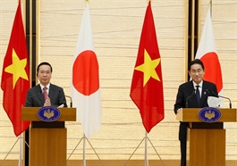 ​Vietnam upgrades relations with Japan to highest level