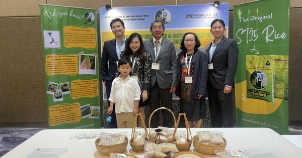 Gạo ST25 lại đoạt giải gạo ngon nhất thế giới năm 2023 - Ảnh 3.