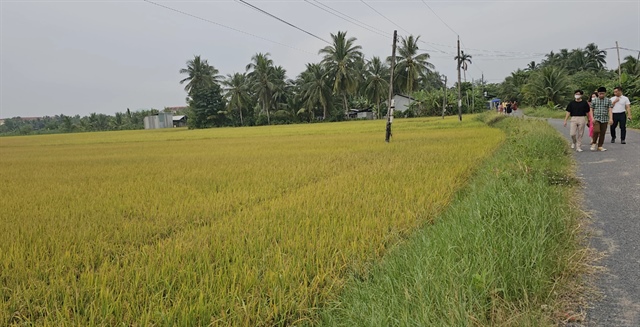 ​Over 39 nations to join Vietnam’s rice festival
