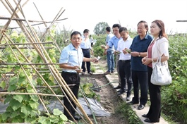 Hanoi’s agriculture aims for sustainable export