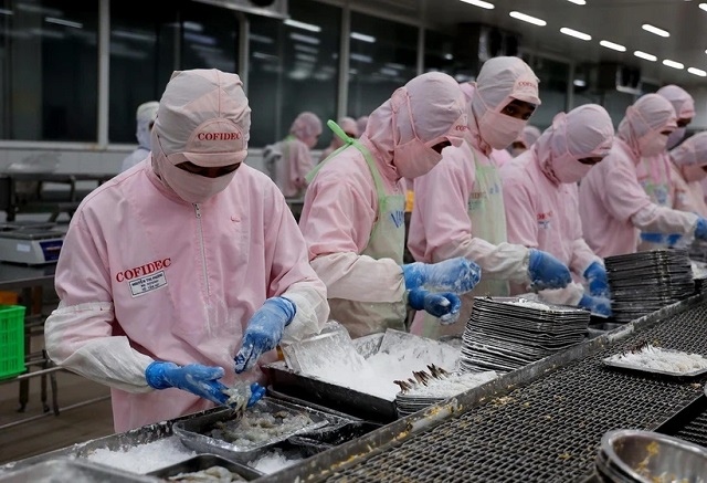 Xuất khẩu tôm dự kiến đạt 3,4 tỷ USD, thấp hơn so với năm 2022