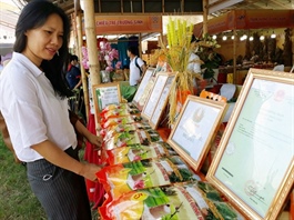 OCOP Craft Village Exhibition in Ung Hoa underway this week