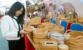 Hanoi suburb’s OCOP exhibition 2023 draws businesses and cooperatives