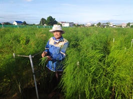 Thriving against the odds: Vietnamese farmers prosper on arid and challenging land