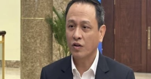 CEO Vietnam Airlines nói về việc sử dụng nhân viên dư thừa của Bamboo Airways