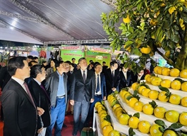 Hanoi Agricultural Products Festival 2023 to boost local economy
