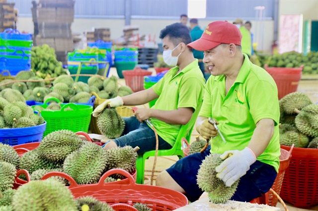 ​Vietnam’s agro-forestry-fishery exports see record trade surplus in 2023