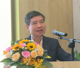 ​Industry insiders: Plastic waste on central Vietnam coast decimating local tourism