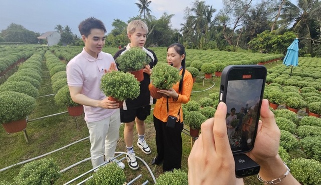 ​TikTokers to promote ornamental flowers, specialties in southern Vietnam next week