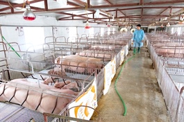 Vietnamese livestock exports to reach $3-4bn by 2030