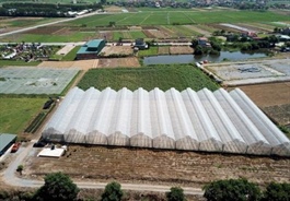 VN's agriculture sector targets growth between 3.2-4% in 2024