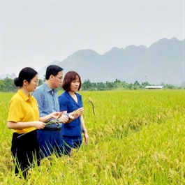 Hanoi boosts agricultural exports