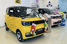​Generous discounts for EV buyers in Vietnam ahead of Lunar New Year fest