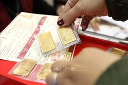 VN should consider removing monopolies in gold import and production