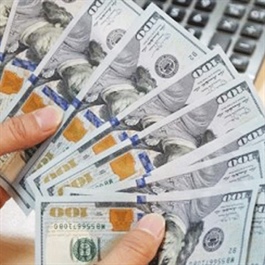 USD/VND exchange rate set to stabilize in second half of 2024