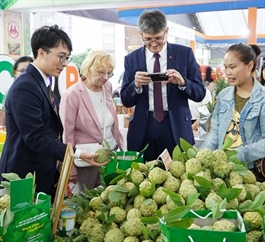 Hanoi plans over 60 trade promotion events this year