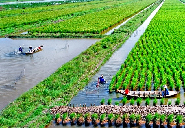 Bộ trưởng Lê Minh Hoan: Lan tỏa sâu sắc hơn nữa tư duy kinh tế nông nghiệp- Ảnh 4.