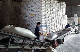 Rice sector works on US$5 billion export target